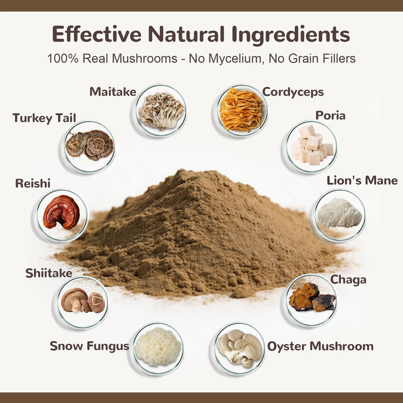Turkey Tail Mushroom Powder for Dogs, Organic 10 Mushroom Blend for Lipoma Lumps and Bumps, Dog & Cat Herbal Supplements Probiotic with 50% β-Glucan, Joint Gut Immune Skin Support - 60g Chicken