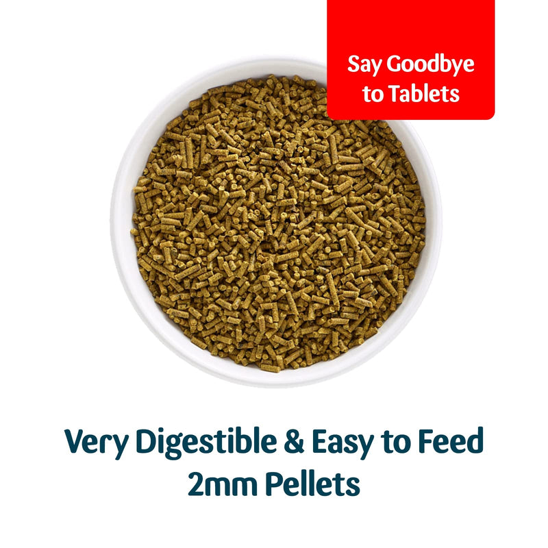 GWF Nutrition | Digestive Aid for Dogs | Digestive Health Supplement for All Dogs | All Ages and Breeds | 500g Pouch