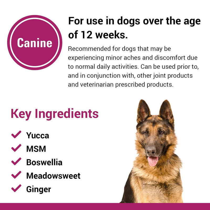 Vet Classics Pain Plus Extra Strength Health Supplement for Dogs - 120 Chewable Tablets - BeesActive Australia
