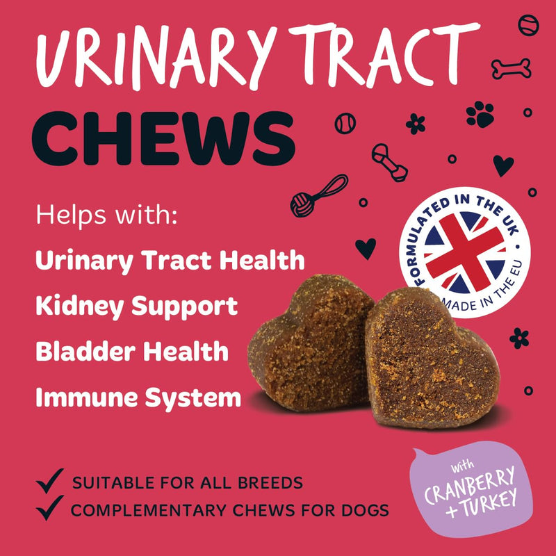 Bugalugs Urinary Tract Dog Chews helps stop dogs urinating in house & dog incontinence. supports UTI, Bladder & Kidney with Cranberry, D-Mannose & Marshmallow root. Grain free dog treats -120 chews