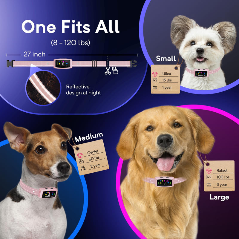 2024 AI Dog Bark Collar Sets for Large Small Medium Dogs Waterproof | 2in1 No Shock/Safe Shock Barking Collar with 3 Adjustable Shock Mode |IP68 Waterproof Rechargeable Anti Bark Devic Pink - BeesActive Australia