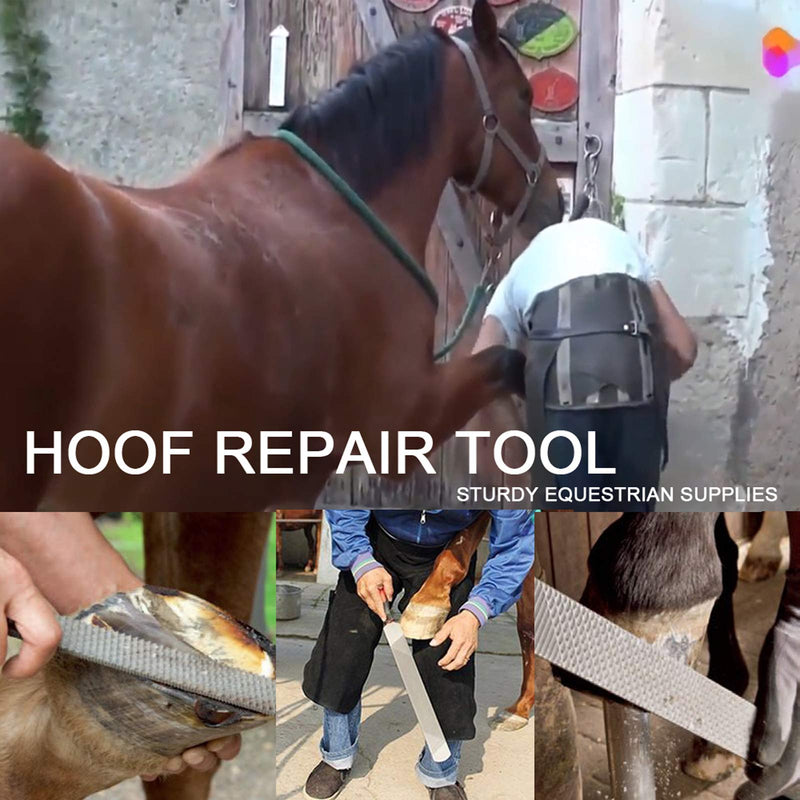 Farrier Tools Professional Farrier Tool Kits Hoof Rasp Hoof Nippers Hoof Knife Horses Hoof Trimmers Tools Suitable for Hoof Trimming for Horses/Donkeys Rasp Hoof Cutter Set - BeesActive Australia