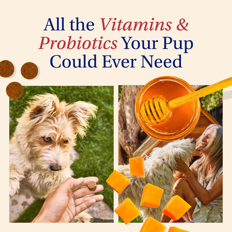 PetLab Co – Multi-Vitamin & Dog Probiotic Bundle: Chewable Multivitamins for Dogs Support Health & Dog Probiotics to Support Itchy Skin, Occasional Loose Stools, and Healthy Yeast Production - PawsPlanet Australia