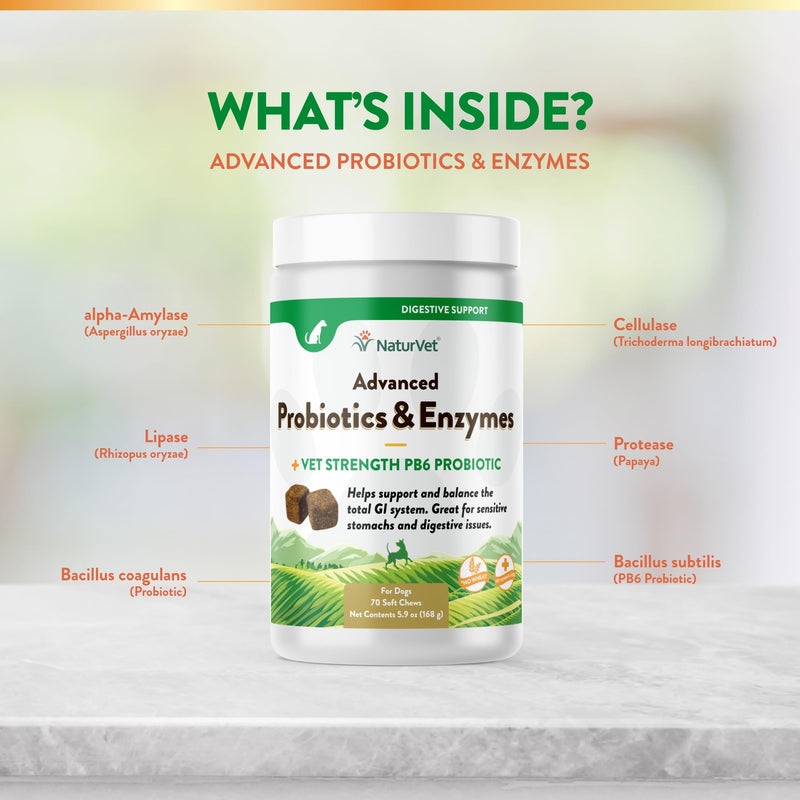 NaturVet Advanced Probiotics & Enzymes, PB6 Dog Soft Chews to Help Sensitive Stomachs and Digestive Issues, Hickory Smoked Bacon Flavored Pet Supplement for Dogs Over 6 Weeks, 70 Count Jar 70 Soft Chews