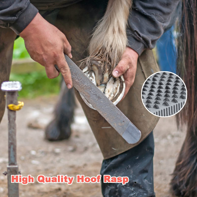 Farrier Tools Professional Farrier Tool Kits Hoof Rasp Hoof Nippers Hoof Knife Horses Hoof Trimmers Tools Suitable for Hoof Trimming for Horses/Donkeys Rasp Hoof Cutter Set - BeesActive Australia