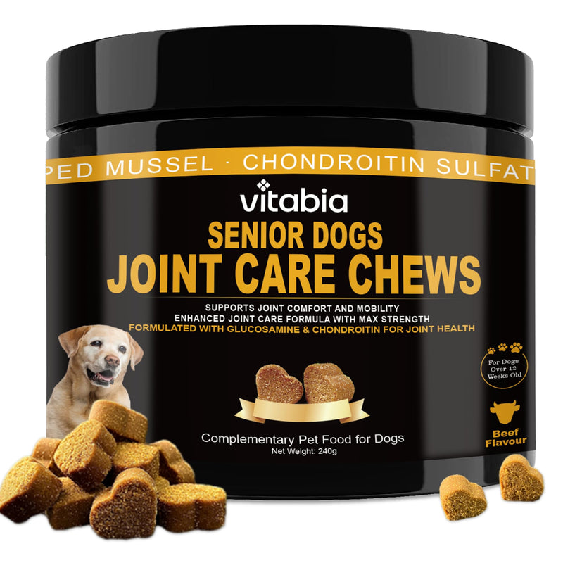 Senior Dog Joint Supplements with Glucosamine Chondroitin MSM - Hip & Joint Support for Dogs with Green Lipped Mussel, Turmeric, Omega 3 for Mobility & Comfort - Beef Flavour Dog Supplements Beef Flavour (120 Count)