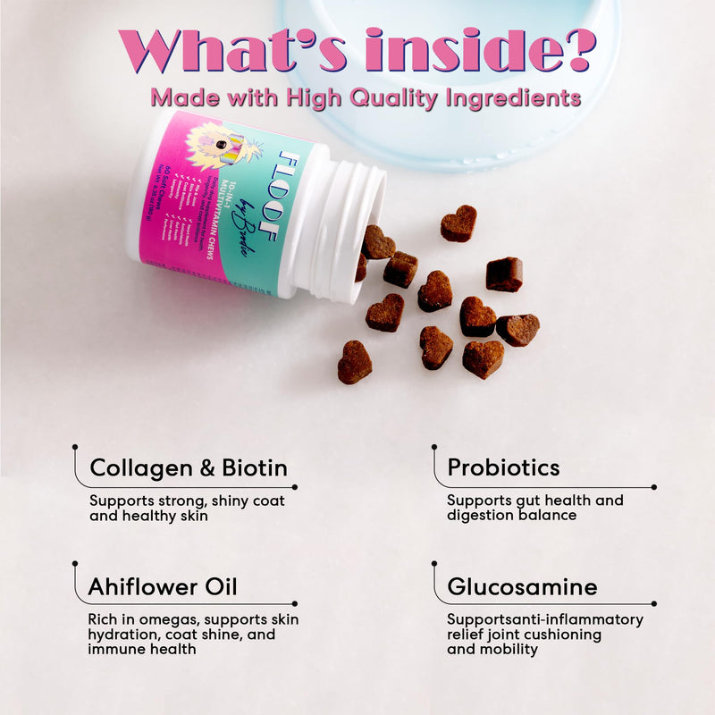 Floof by Brodie 10-in-1 Multivitamin Supplement: Dog and Puppy Vitamin with Joint Health Support MSM and Glucosamine HCL, Heart Health Coenzyme Q10, Probiotics, Collagen, Biotin - 60 Chews (6.35 oz)