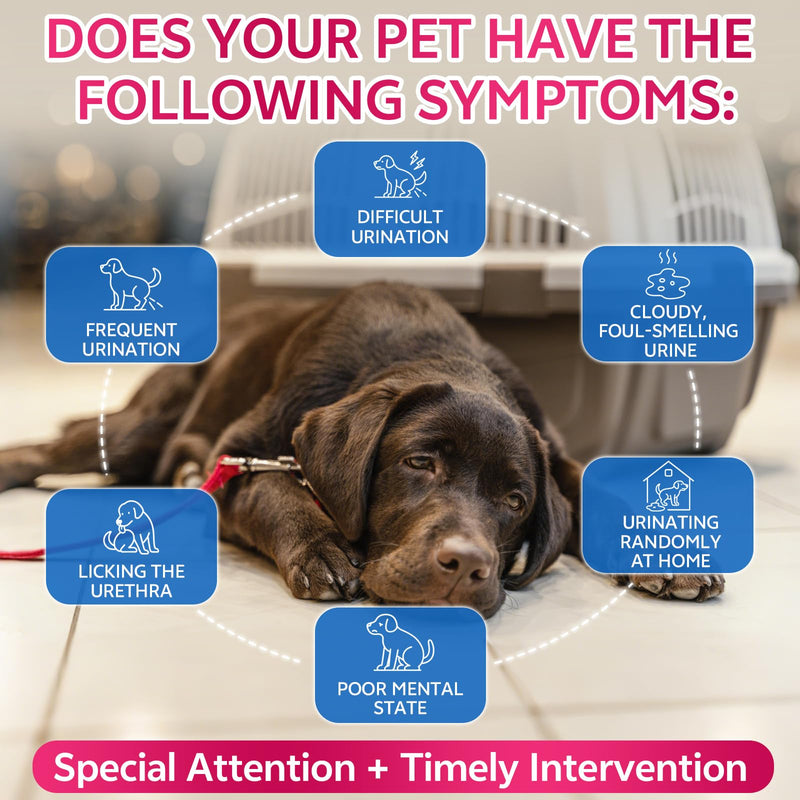 WEALLIN Flea and Tick Prevention Support Drop + Natural Urinary Tract Infection Treatment for Dogs & Cats | Pets Oral Natural Supplement Pet Care Support Drops for All Breeds and Ages