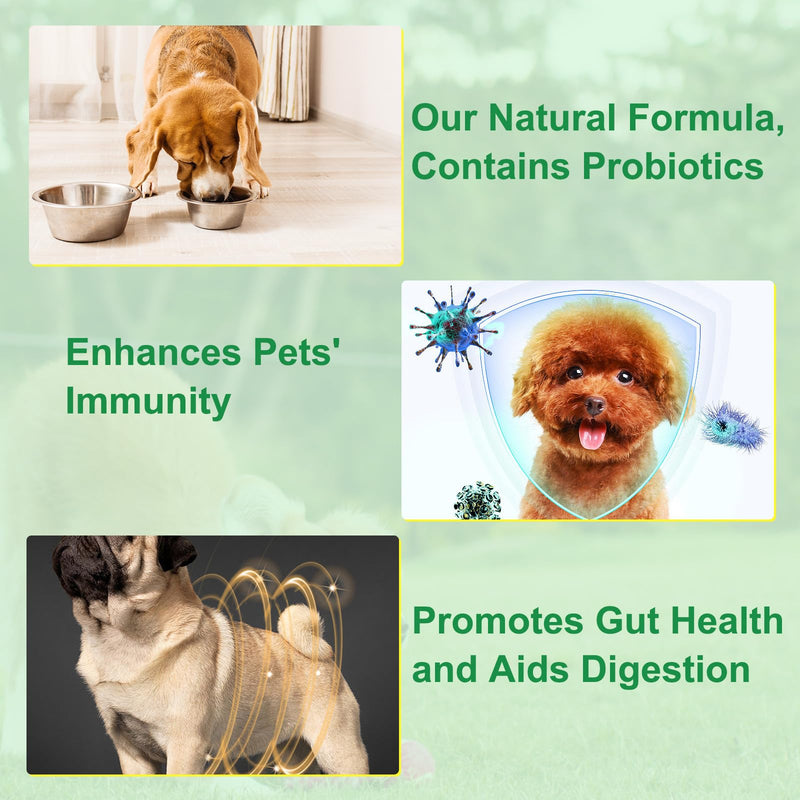 Specifically Formulated for Dogs, Natural Intestinal Defense for Dogs, Herbal Cleanse, Digestive Support for All Dog Breeds, Puppy & Kitten, Gut Health, Supplement Drops, Advanced Broad Spectrum 1 Pack for dog
