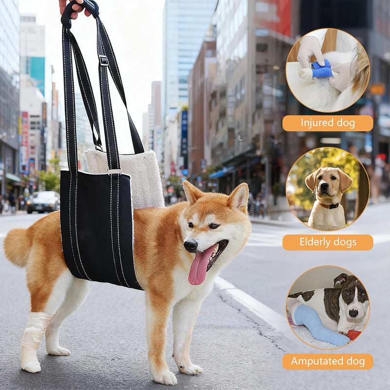 Dog Carrying Aid, Adjustable Walking Aid and Rehabilitation Carry Strap for Various Sizes, Safety Support for Disabled, Injured or Older Dogs, L