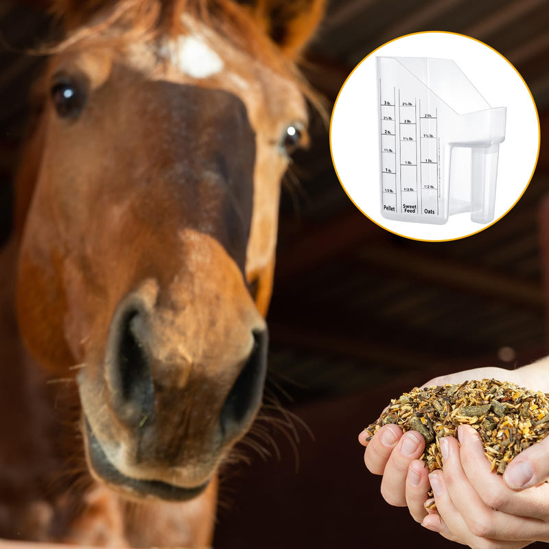 Uiifan Feed Scoop with Measurements 3 Quarts Plastic Measuring Scoop Reusable Pellet Scoop for Horse Goat Sheep Cattle Feeding Supplies (2 Pcs) 2 - BeesActive Australia