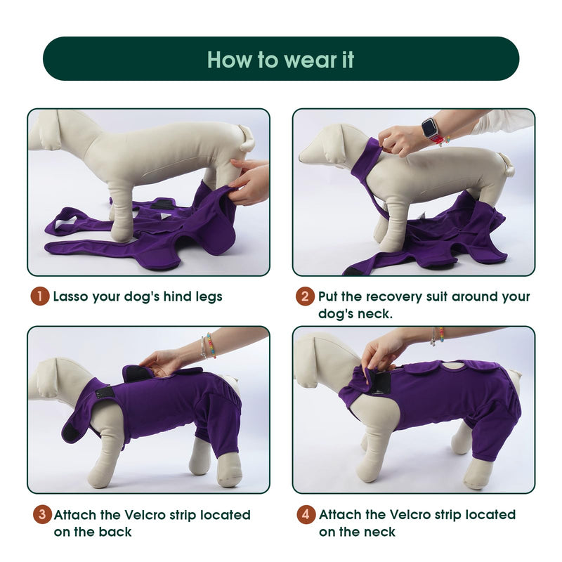 Kuoser dog bodysuit after surgery, dog bodysuit after surgery body for dog castration male dog, dog recovery suit, dog leg protection bodysuit, anti-wound licking surgery body dog, dog neck brace alternative, purple XL XL (chest: 67-81cm) brilliant purple - BeesActive Australia