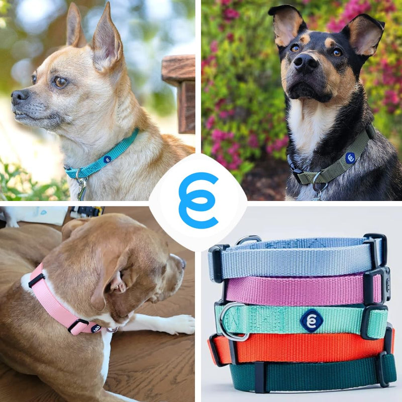 Blueberry Pet Essentials Small Dog Collar | Boy Dog Collars Fall | Male Dog Collar Small | Marina Blue Dog Collars for Small Dogs | Quick Release Dog Collar | Marina Blue Nylon Dog Collar Small (Pack of 1) - BeesActive Australia