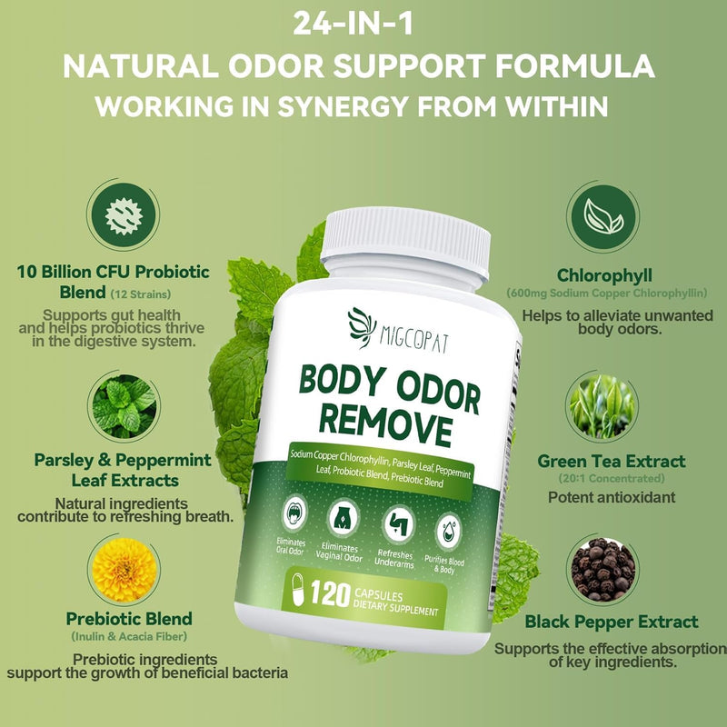 Chlorophyll Body Deodorizing Supplement, Chlorophyll Capsules with Parsley & Peppermint, Probiotic, Green Tea, Jerusalem Artichoke, Prebiotic, Supports Fresh Breath & Whole-Body Freshness, 120 Caps 120 Count (Pack of 1) - BeesActive Australia