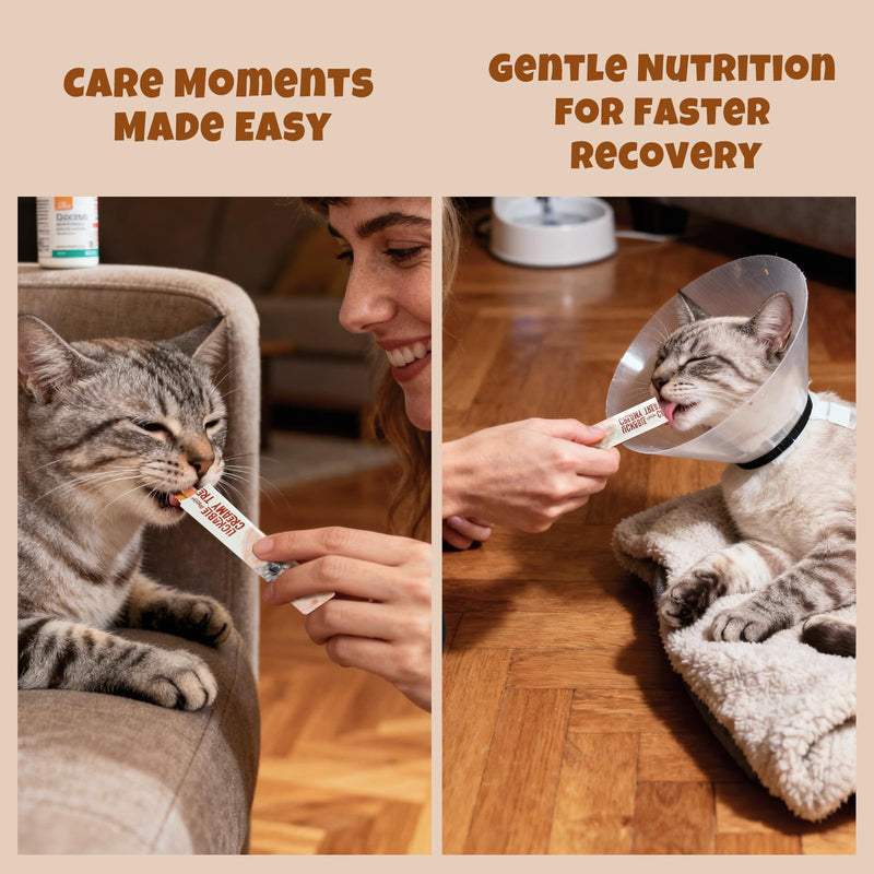Havira Healthy Lickable Creamy Cat Treats Digestion Support – Chicken Recipe Squeeze Treats with probiotics & Lactic Cultures, Creamy Functional Snacks for Gentle Digestion & Daily Comfort, Grain Free 20