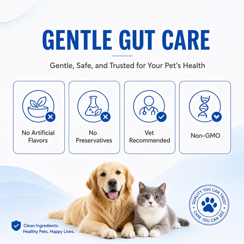 Anti-Diarrheal Paste for Dogs & Cats | Savory Chicken Flavor | Natural Digestive Support with Kaolin, Pectin & Probiotics | Firms Loose Stool & Soothes Upset Stomach | 30ml