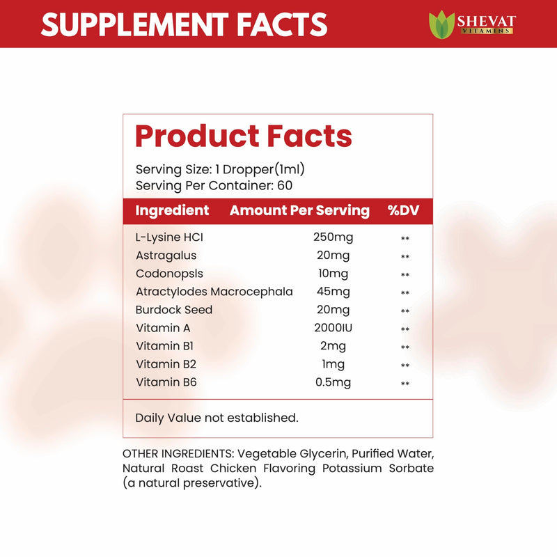 L-Lysine Liquid Supplement for Cats – Immune & Respiratory Support – Supports Eye Health, Sneezing & Runny Nose – 60ml Liquid Drops – Roast Chicken Flavor