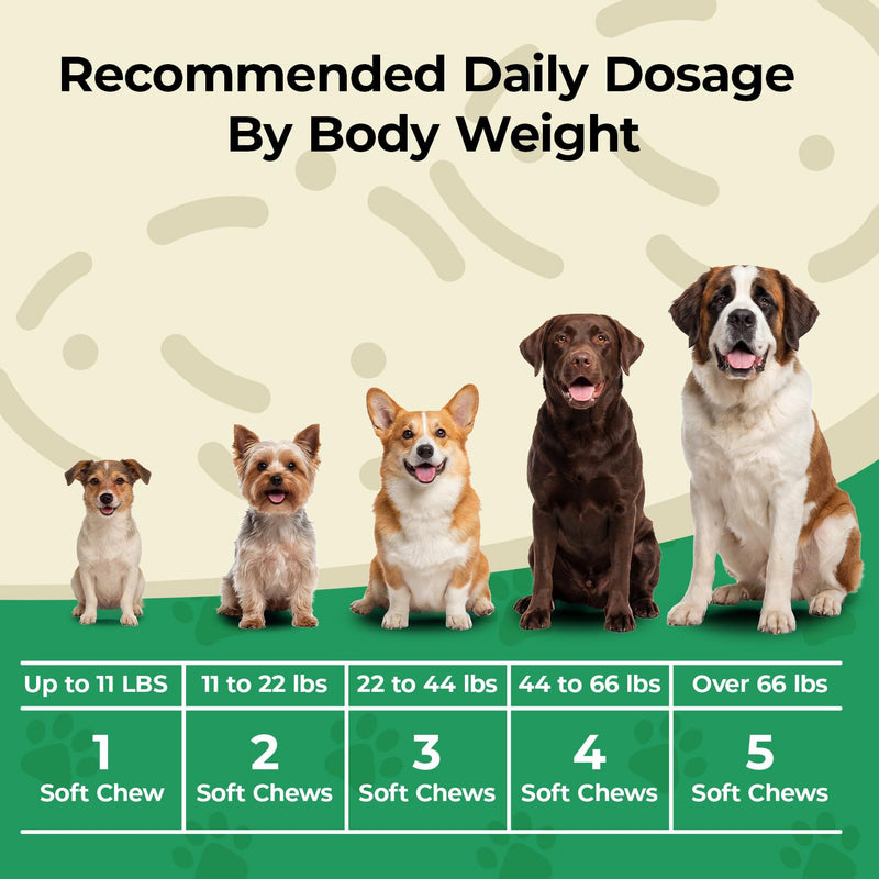 Dog Allergy Chews - Immune & Itch Relief Support with Probiotics, Fish Oil, Colostrum & Bromelain - Seasonal Allergy Relief & Skin & Coat Health - Soft Chews, Chicken Flavor, 60 Count
