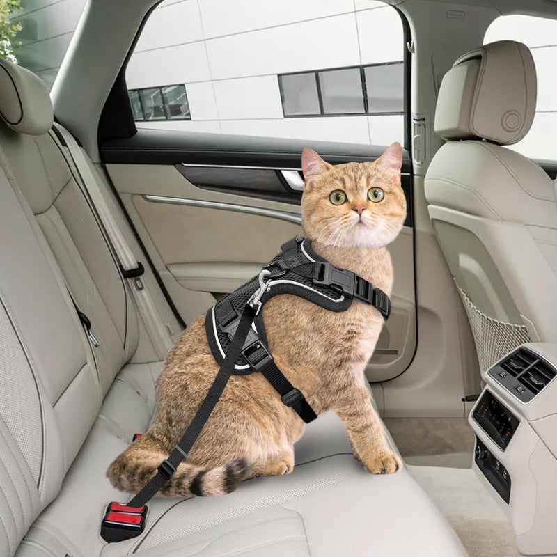 Cat Harness, Cat Car Harness and Leash for Walking, Escape Proof Soft Adjustable Vest Harnesses for Cats, Easy Control Breathable Reflective Strips Harness, Kitten Harness and Leash Set, Black, S S (7-12lb) - BeesActive Australia
