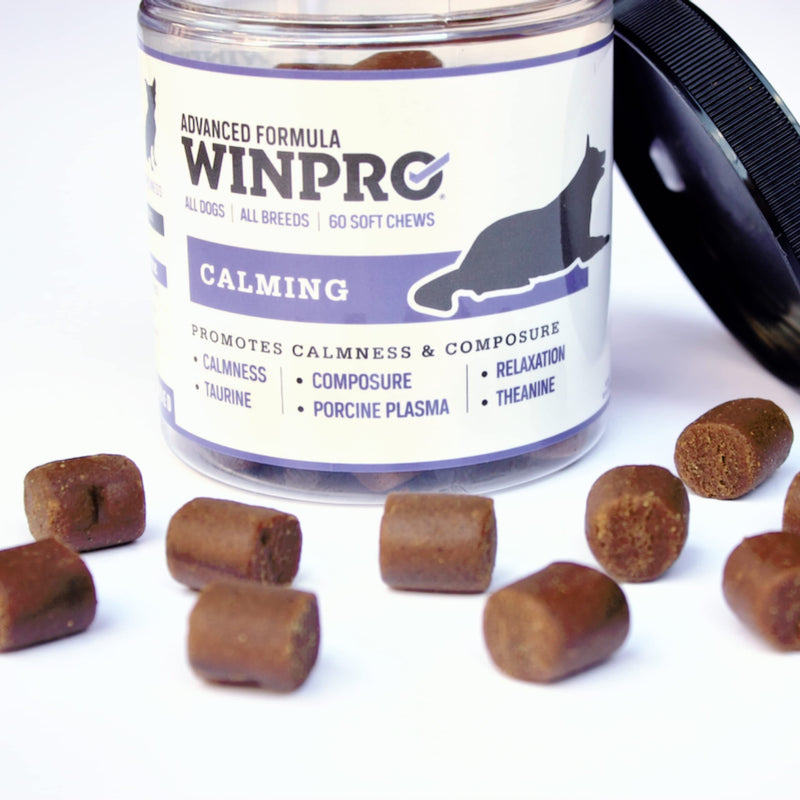WINPRO Calming Chews for Dogs – Plasma-Powered for Dog Anxiety & Stress Relief– Fast-Acting Dog Calming Chews - Natural Ingredients, Grain-Free - Suitable for All Breeds & Sizes –60 Count Made in USA - PawsPlanet Australia