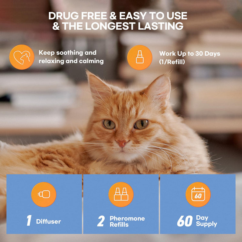 ProElobara Cat Calming Pheromones Diffuser: Cat Calming Pheromones Diffusers for Multicat - Reduces Stress and Anxiety with Calming Pheromones - Helps Control Bad Behavior with Calm Pheromones 60 Day BlueB - BeesActive Australia