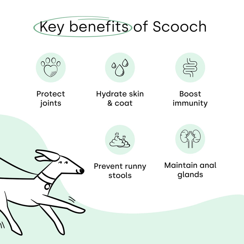 Scooch All-In-One Dog Multivitamin, 60 Tasty Crunchy Chews Even Fussy Dogs Eat | Daily Supplement Supporting Skin, Coat & Joints | Plant-Based Peanut Butter & Coconut | For Dogs from 12 Weeks Adult