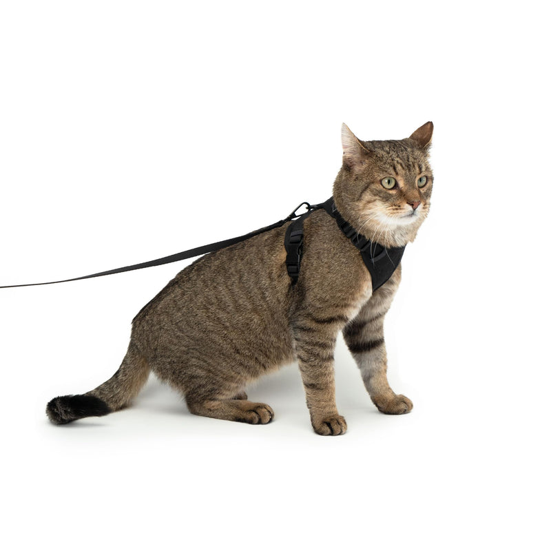 LucyBalu® Explorer cat harness with leash | Escape-proof cat harness with AirTag compartment | Cat chest harness with cat leash | Safety harness with leash for cats | Sand XS/S - BeesActive Australia
