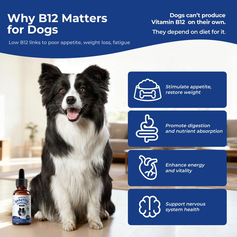 Appetite Stimulant for Dogs – Liquid Vitamin B12 Drops, Methylcobalamin(Methyl B12) Dog Supplement, Boosts Appetite, Energy, Mood, Recovery - 2 fl oz (60ml)