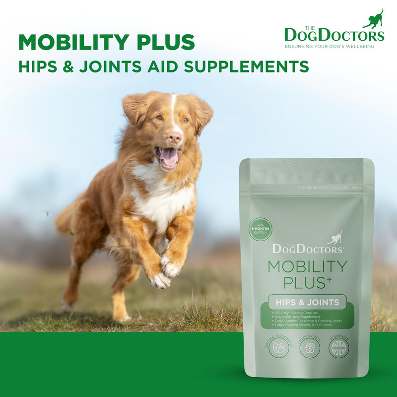The Dog Doctors Mobility Plus Dog Joint Supplements, 150 Capsules with Glucosamine, Chondroitin, MSM & Hyaluronic Acid for Cartilage, Ligaments, Connective Tissue & Hip & Joint Care for Dogs, UK Made