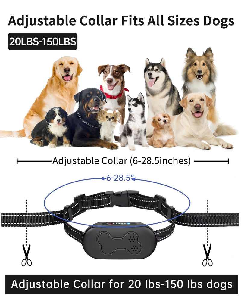 Dog Shock Collar - 2000FT Range Rechargeable Dog Training Collar with Remote IPX7 Waterproof 4 Training Modes (Flashlight Beep Vibration Shock) Perfect for Small Medium Large Dogs (20-150lbs) Black - BeesActive Australia