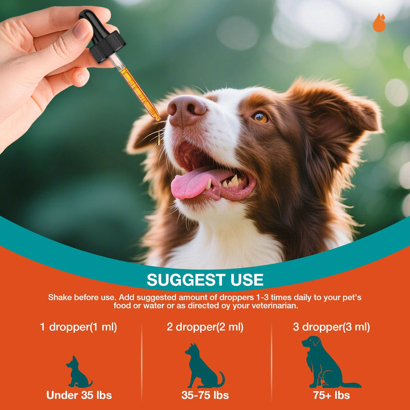 Natural Yeast Infection Drops for Dogs - Dog Yeast Infection Treatment