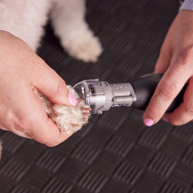 Dremel Pet Grooming Nail Guard Attachment, Ideal for Dog & Cat Nail Trimming, AT02-PGK