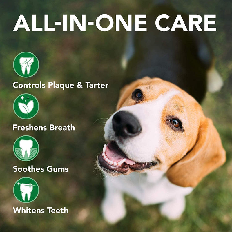 Vets Best Triple Headed Toothbrush for Dogs - Teeth Cleaning and Fresh Breath - PawsPlanet Australia