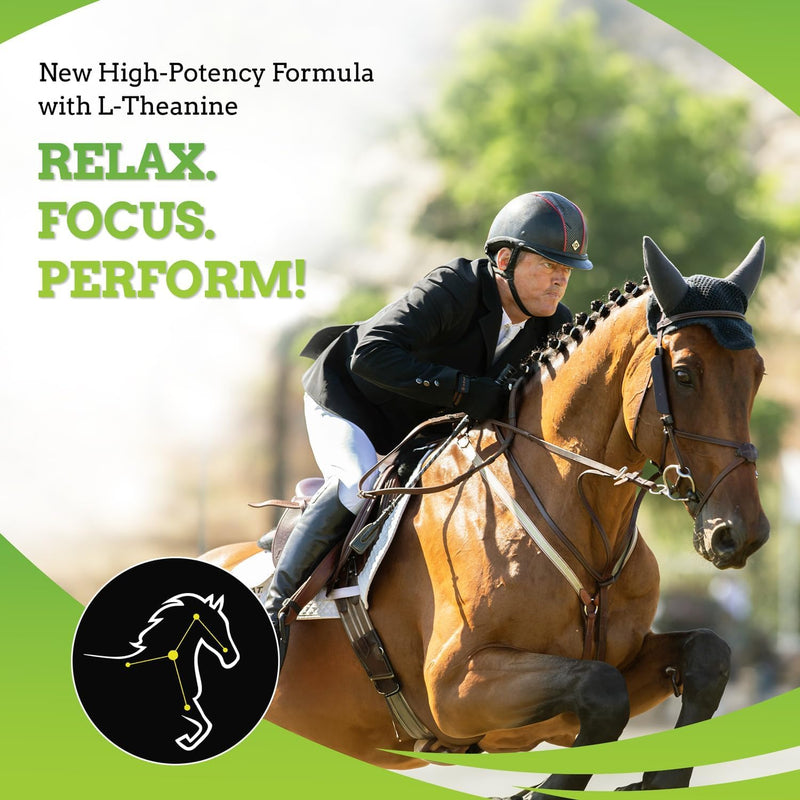 SynChill AF Calming Gel for Nervous Horses - Single Serving - Advanced Formula with L-Theanine, Increased Potency, 100% Natural Supplement, Disposition & Confidence Support for Horses - 3 Pack - BeesActive Australia