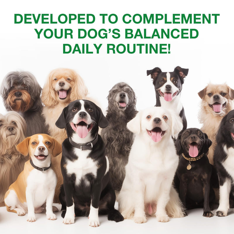 Antibiotics for Dogs - 120ml，Dog Antibiotics，Natural Antibiotics for Dogs，Itchy Skin Relief，Supports Allergy Relief，Dog Antibiotics for Skin Infection，-2Pcs Bacon Flavor (2Pcs) 2Pcs Green