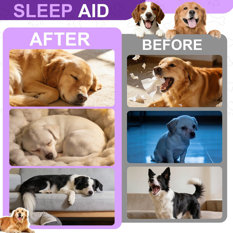 Melatonin for Dogs & Cats, Dog Melatonin, Promotes Relaxation, Sleep & Calm Behaviour for Dog, Dog Anxiety Relief Calming for Noise, Fireworks, Separation Anxiety & Travel Stress