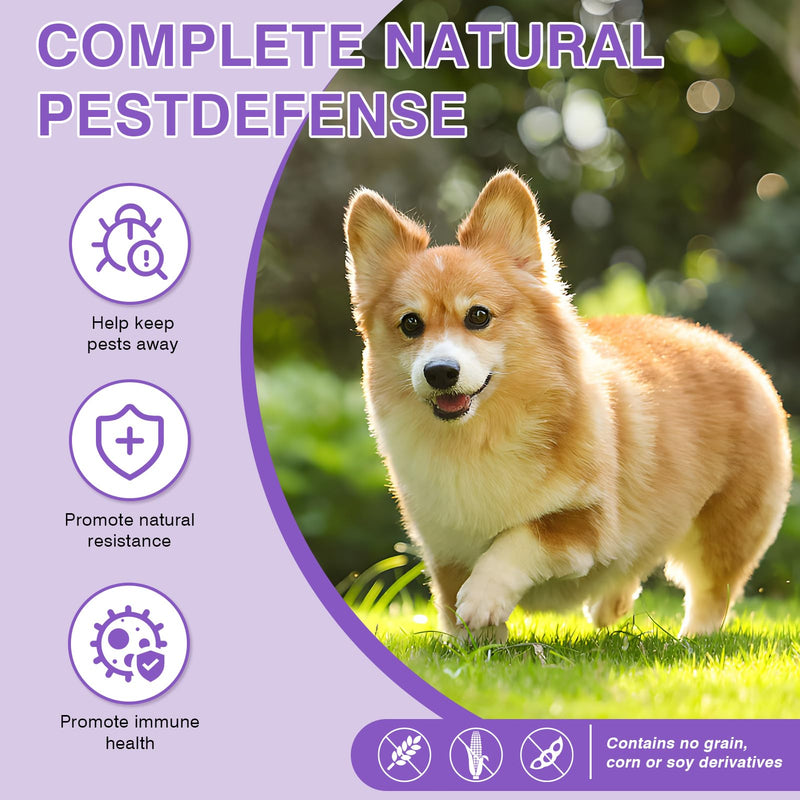 Dog Flea and Tick Chewable 200 Count Soft Chews Chicken Flavor Dog Flea Chewable Supports Skin Comfort and Daily Wellness for Dogs During Seasonal Changes Flea Chews for Dogs