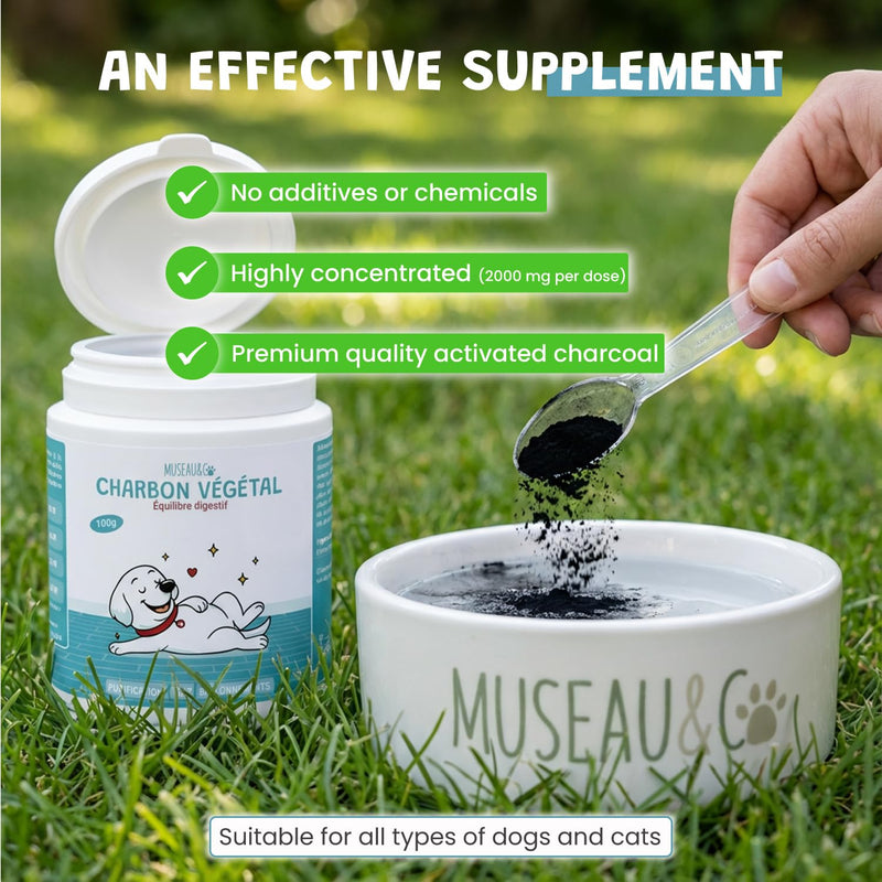 Museau & Co Activated Charcoal for Dogs and Cats - 100g - Digestion, Bloating, Constipation, Diarrhea, Excessive Flatulence Made in France