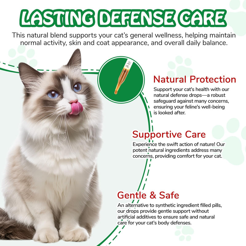 Antibiotics for Cats, Cat Antibiotics for Infections, Natural Antibiotics for Cats Immune Drops Help Supports Allergies, Itching, Coughs, Skin, 60ml, Bacon Flavor (1 Pack) 1 Pack