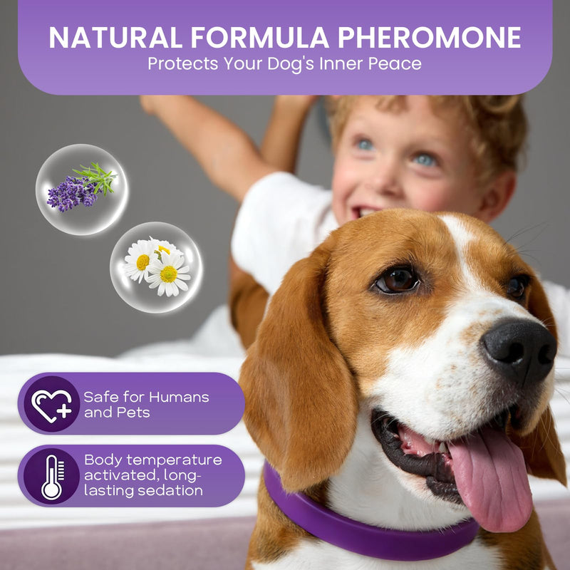 Calming Collar for Dogs – 2 Pack Natural Anxiety Relief Collar, Helps Reduce Stress, Barking & Nervous Behaviour, Adjustable Pheromone Dog Calming Collar