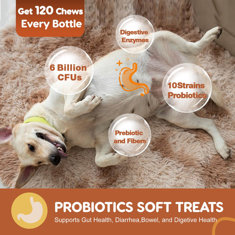 Probiotics for Dogs, Dog Probiotics for Digestive Health, Plus Pumpkin and Fish Oil, for Gut & Itchy, 120 Soft Chews 120 Chews - BeesActive Australia