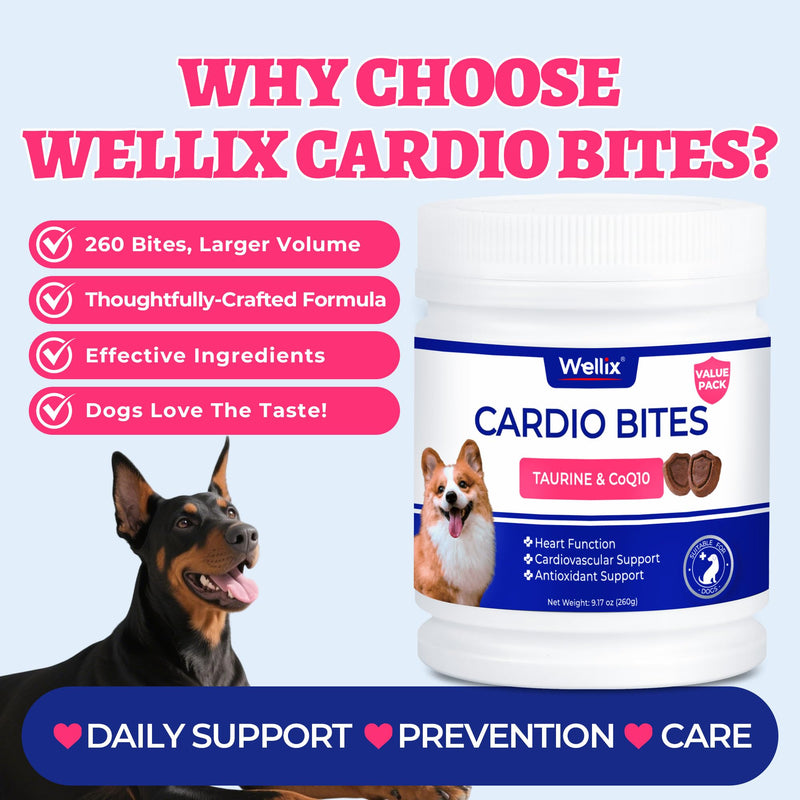 Wellix 260g Cardio Taurine for Dogs - Heart Supplements for Dog Chews with CoQ10,Fish Oil,L-Carnitine - Senior Heart Health and Cardiovascular & Antioxidant Support Cardio (Taurine)