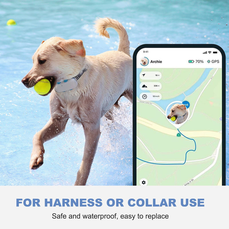 Dog GPS Tracker Rubber Clip Compatible with Tractive GPS Dog Location Activity Tracker Replacement Rubber Attachment Clips - Pack of 4 - BeesActive Australia