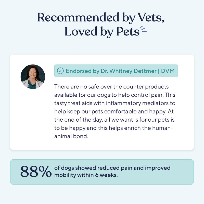 Pawfy Pain Management for Mobility & Joint Comfort Chews for Dogs | Salmon Oil, Omega 3, Cat's Claw | Hip & Joint Support for Senior & Large Breed Dogs | All Ages & Sizes | 60 Soft Chews