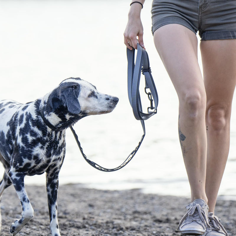Hands Free Dog Leash - Waist or Shoulder Leash for Walking and Hiking with Medium and Large Dogs, Adjustable 4 to 6 FT Outdoor Bungee Lead with Traffic Handle by Nuvuq (18-120 lbs, Black) Black Pepper