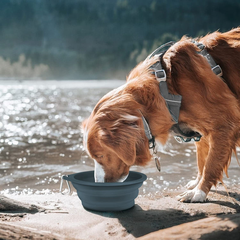 COOYOO Collapsible Dog Bowls 700ML,2 Pack Portable Collapsible Dog Water Bowls for Cats Dogs,Pet Foldable Feeding Watering Dish for Traveling Camping Walking with 2 Carabiners 01-Blue Haze+Dark Blue - BeesActive Australia