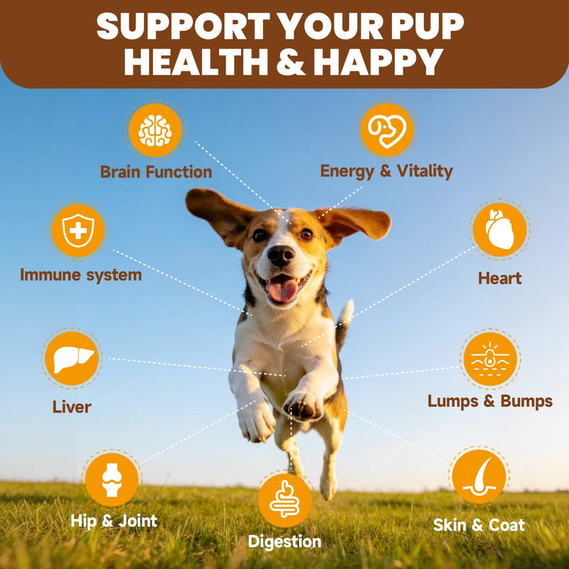 Dog Mushroom Drops & Dog Mushroom Paste - Lumps and Bumps Treatment - Digestive, Cellular, Immune Health Support
