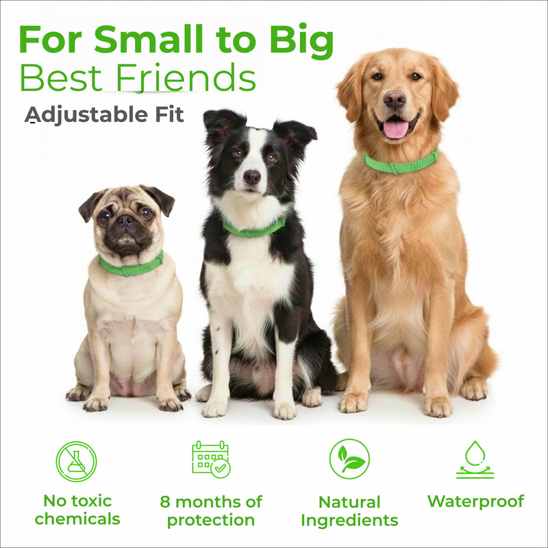 FurLife Flea and Tick Collar for Dogs – Waterproof Red Dog Collar, Pet Supplies for Tick and Flea Prevention for Dogs, Safe for All Breeds