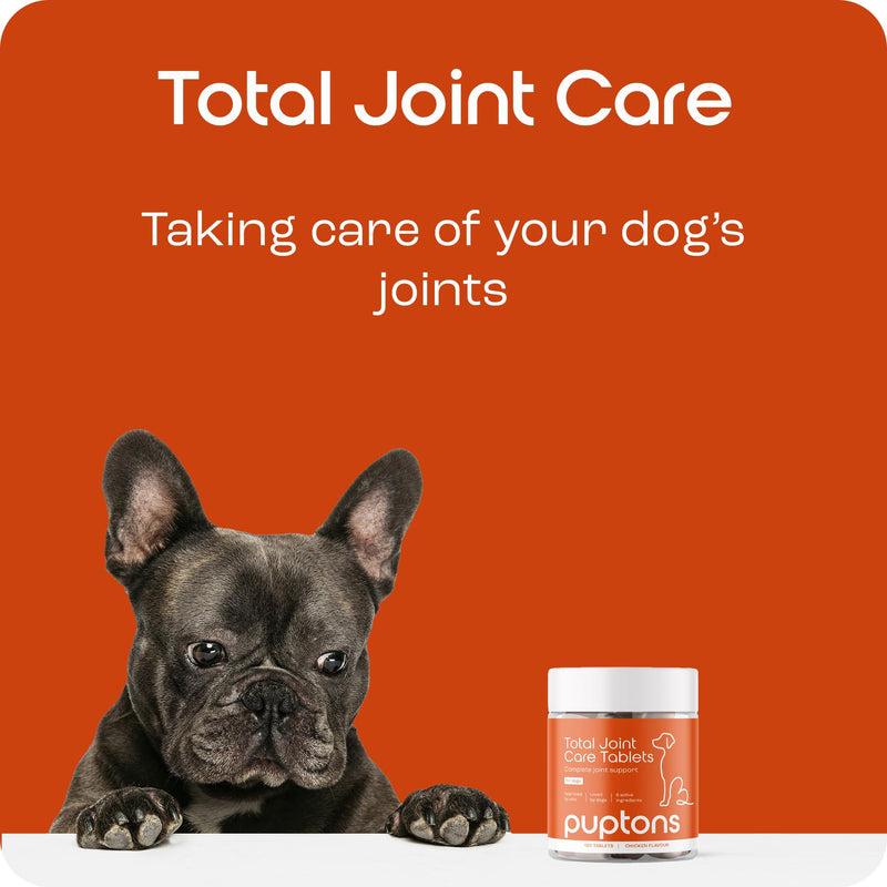 puptons Joint Care Supplement for Dogs | Reduce Stiffness & Improve Mobility with Green Lipped Mussel, MSM & Glucosamine | All Ages of Dogs, Natural Anti-Inflammatory | 30 Tablets