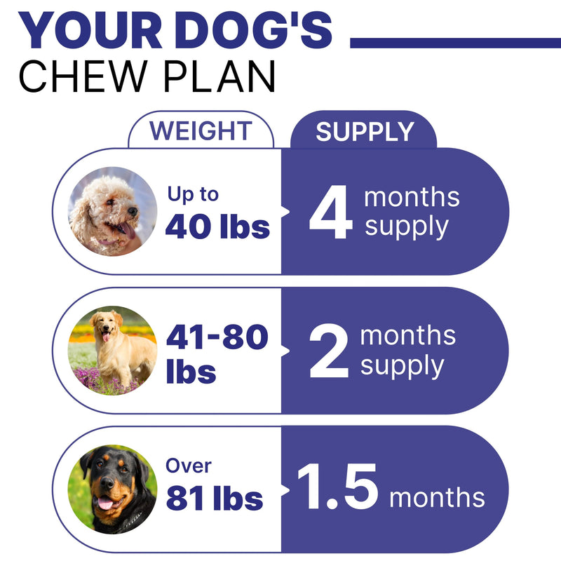 Probiotic, Enzyme, Prebiotic, Dog Chews for Digestive Support - Helps with Stool Consistency, Gas, Constipation, Diarrhea - 120 Chews - Roasted Turkey - BeesActive Australia